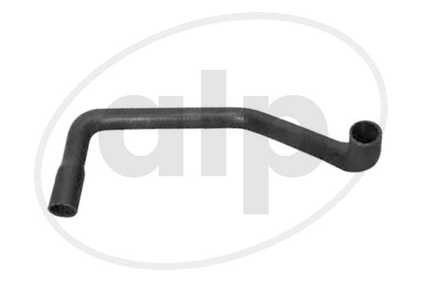 ALP-004250