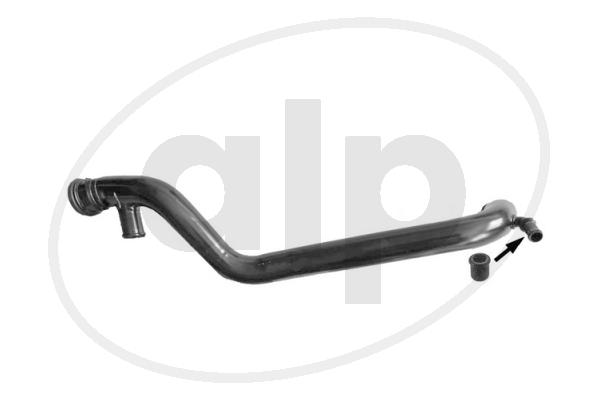 ALP-004804