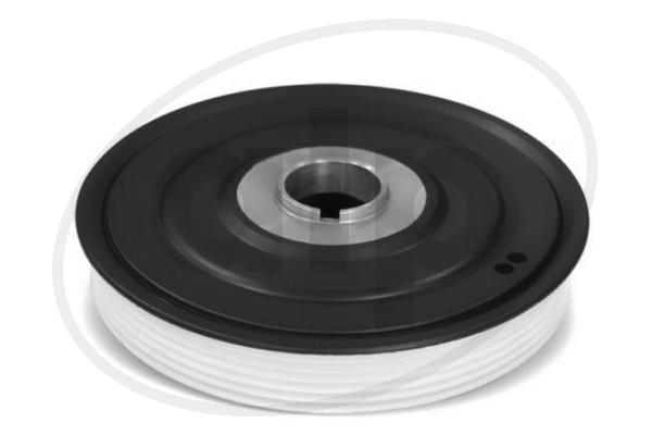 ALP-001981