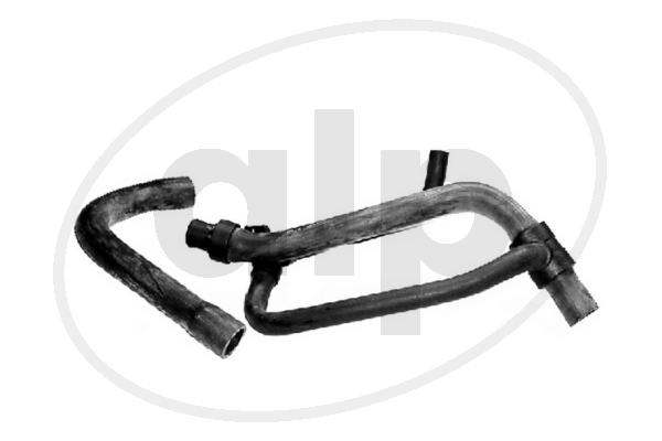 ALP-003816