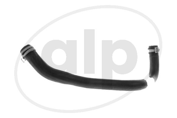 ALP-004324