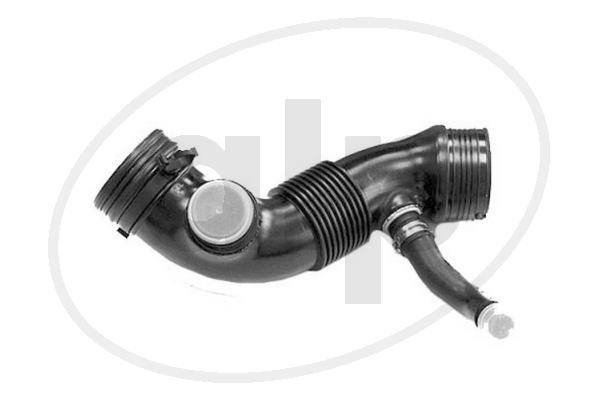 ALP-006205