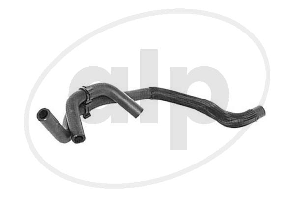 ALP-005703