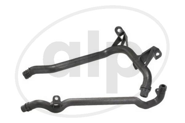 ALP-006795