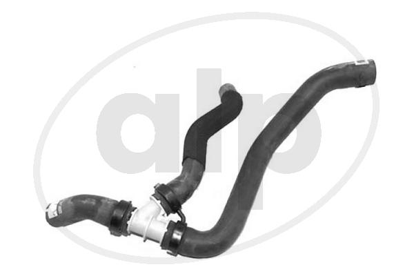 ALP-007060