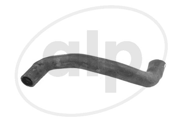 ALP-005637