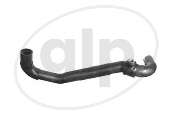 ALP-004013