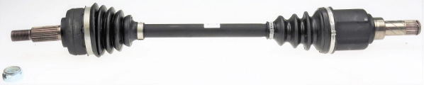 306392