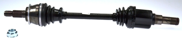 304214
