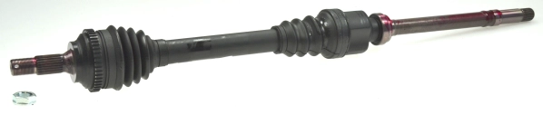 306154