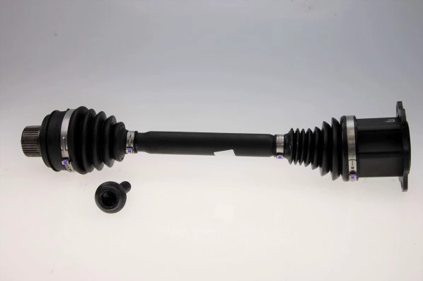 306820