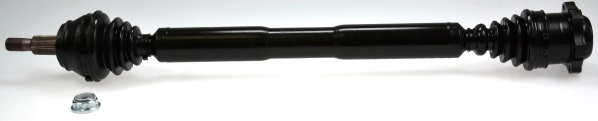 304354