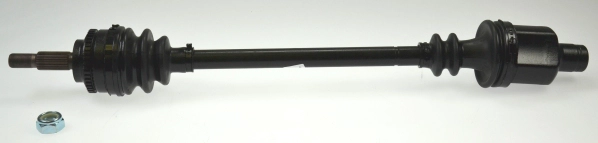 304972