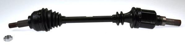 304851