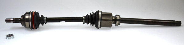 304946