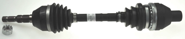 306256