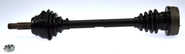 301519