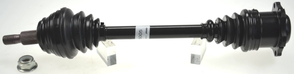 305251