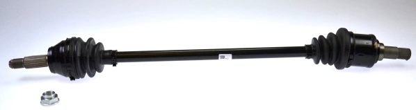 304271