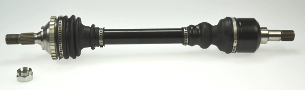 302926