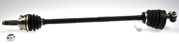 304369