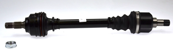 305039