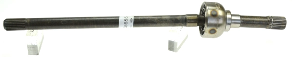 305654