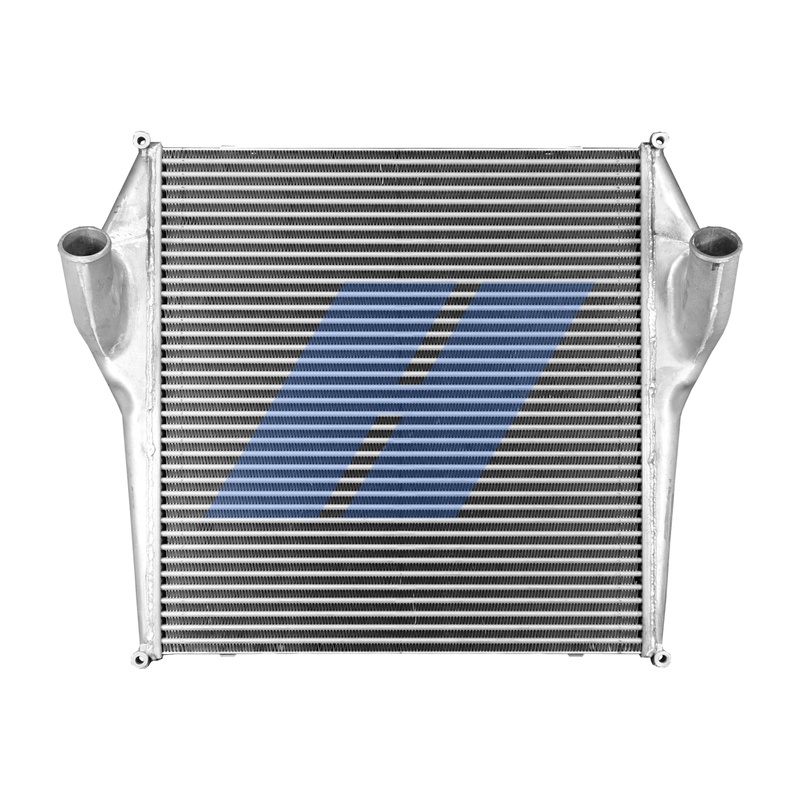 20041901