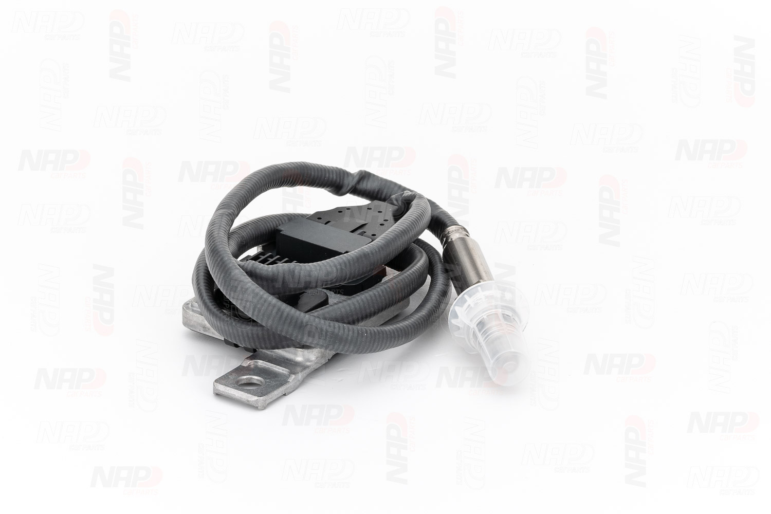 CNS10063