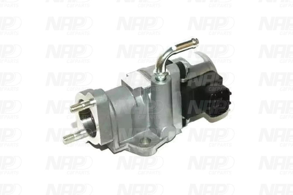 CAV10160