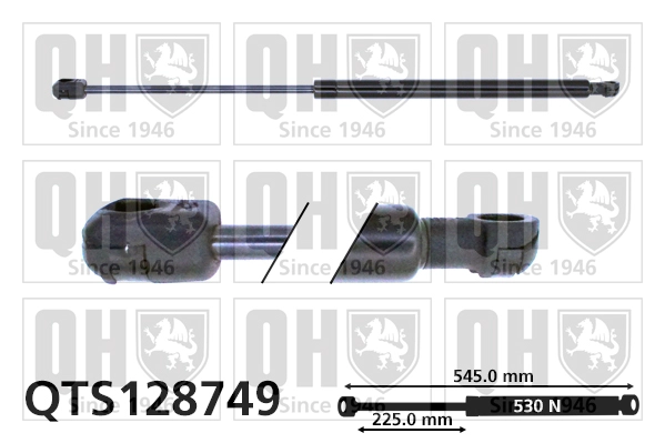 QTS128749
