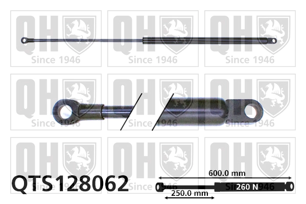 QTS128062