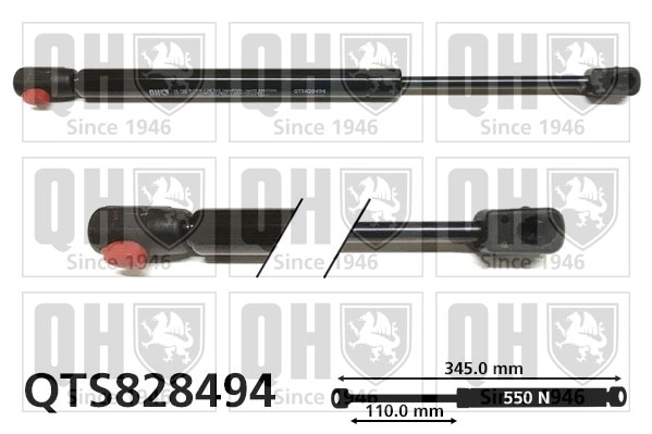 QTS828494