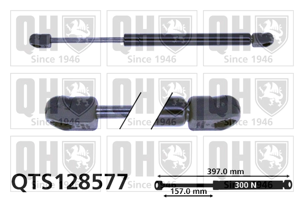 QTS128577