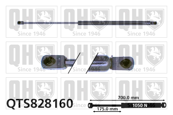 QTS828160