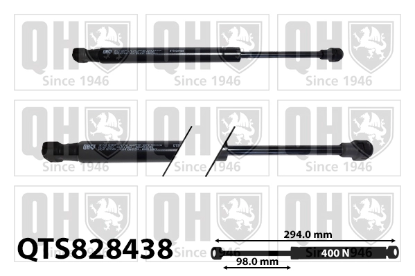 QTS828438