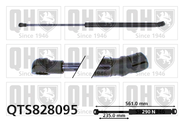 QTS828095