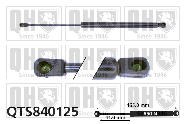QTS840125
