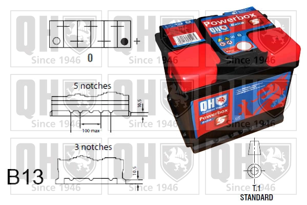 QBT0195