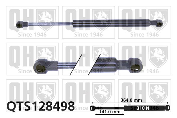 QTS128498