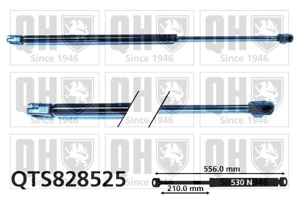 QTS828525