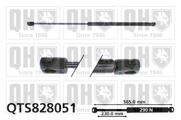 QTS828051