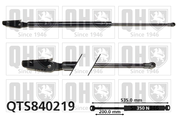 QTS840219