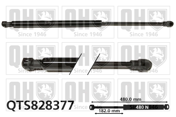 QTS828377