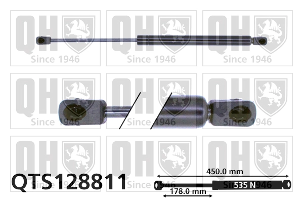 QTS128811