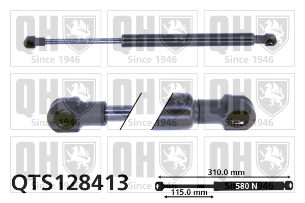 QTS128413