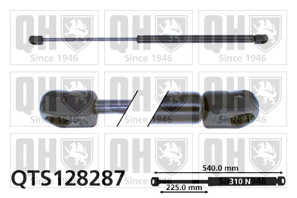 QTS128287