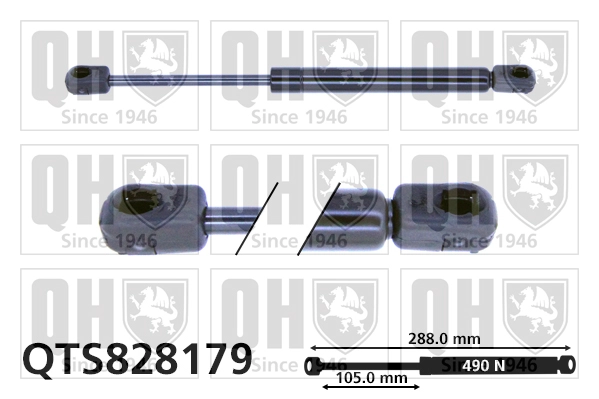 QTS828179