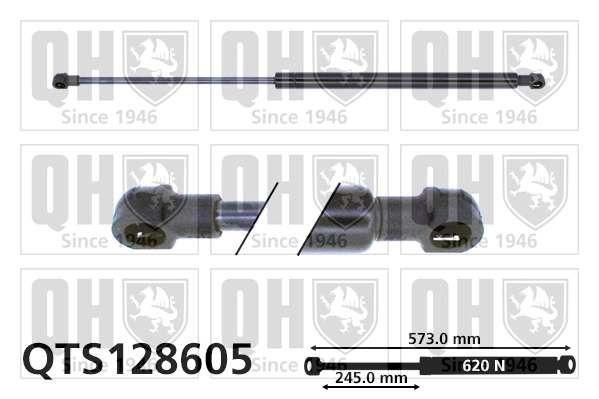 QTS128605