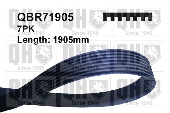 QBR71905